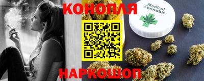 шишки Новокубанск