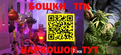 шишки Новокубанск