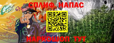 шишки Новокубанск