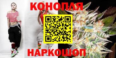 шишки Новокубанск
