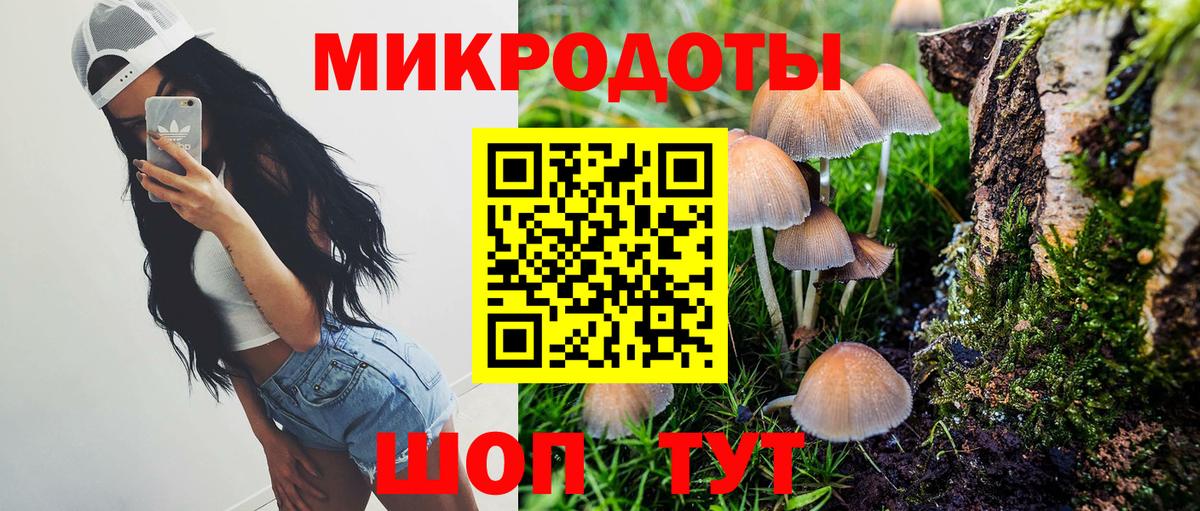 Псилоцибиновые грибы MAGIC MUSHROOMS  Вход с VPN  купить   Чита  Псилоцибиновые грибы MAGIC MUSHROOMS 